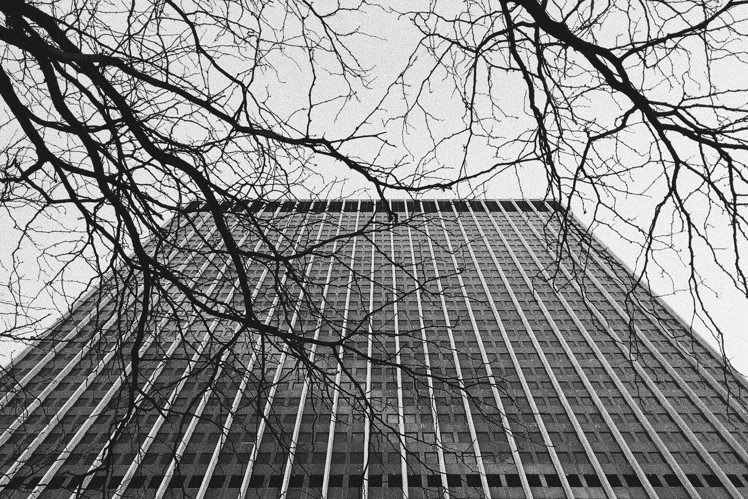 NYC - Street | Fuji Neopan