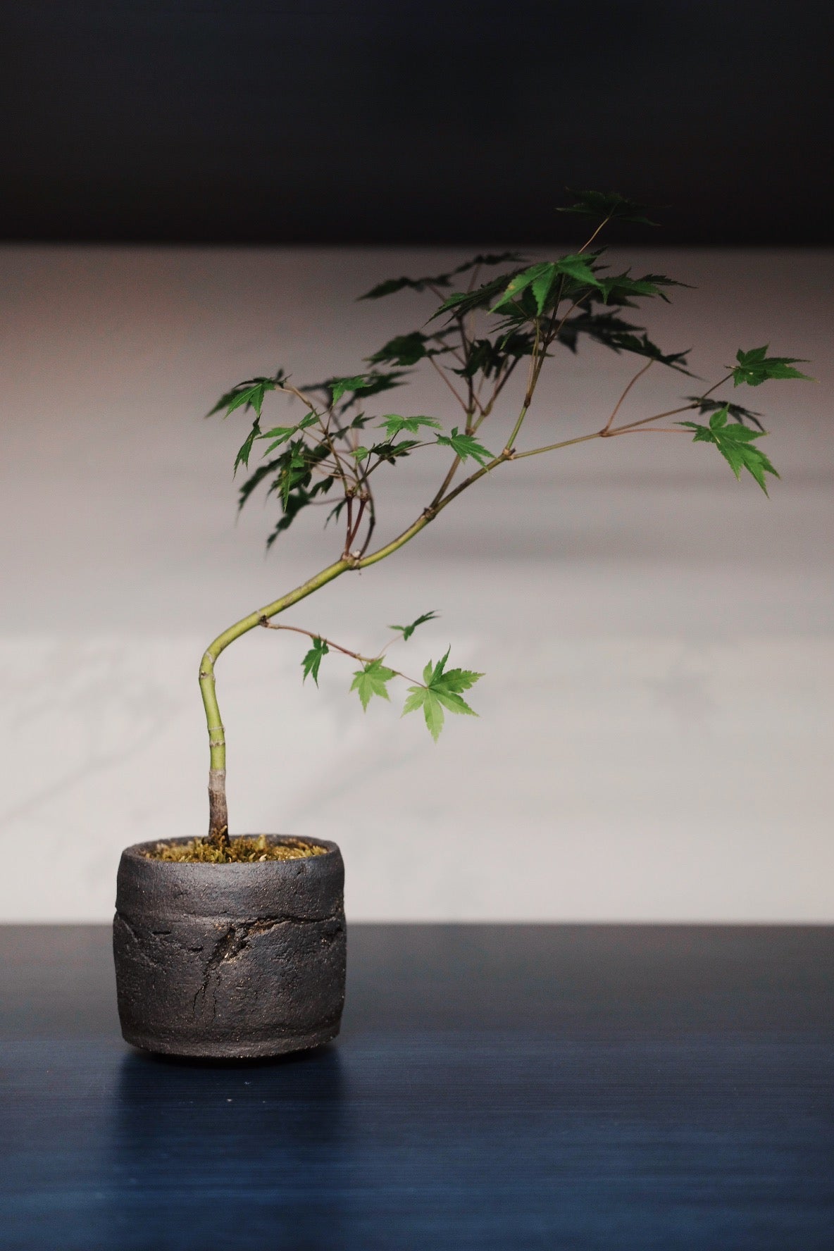 90 Pot
