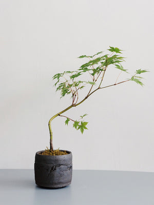 90 Pot
