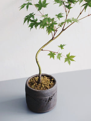 90 Pot