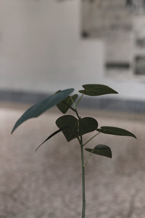 90 Pot