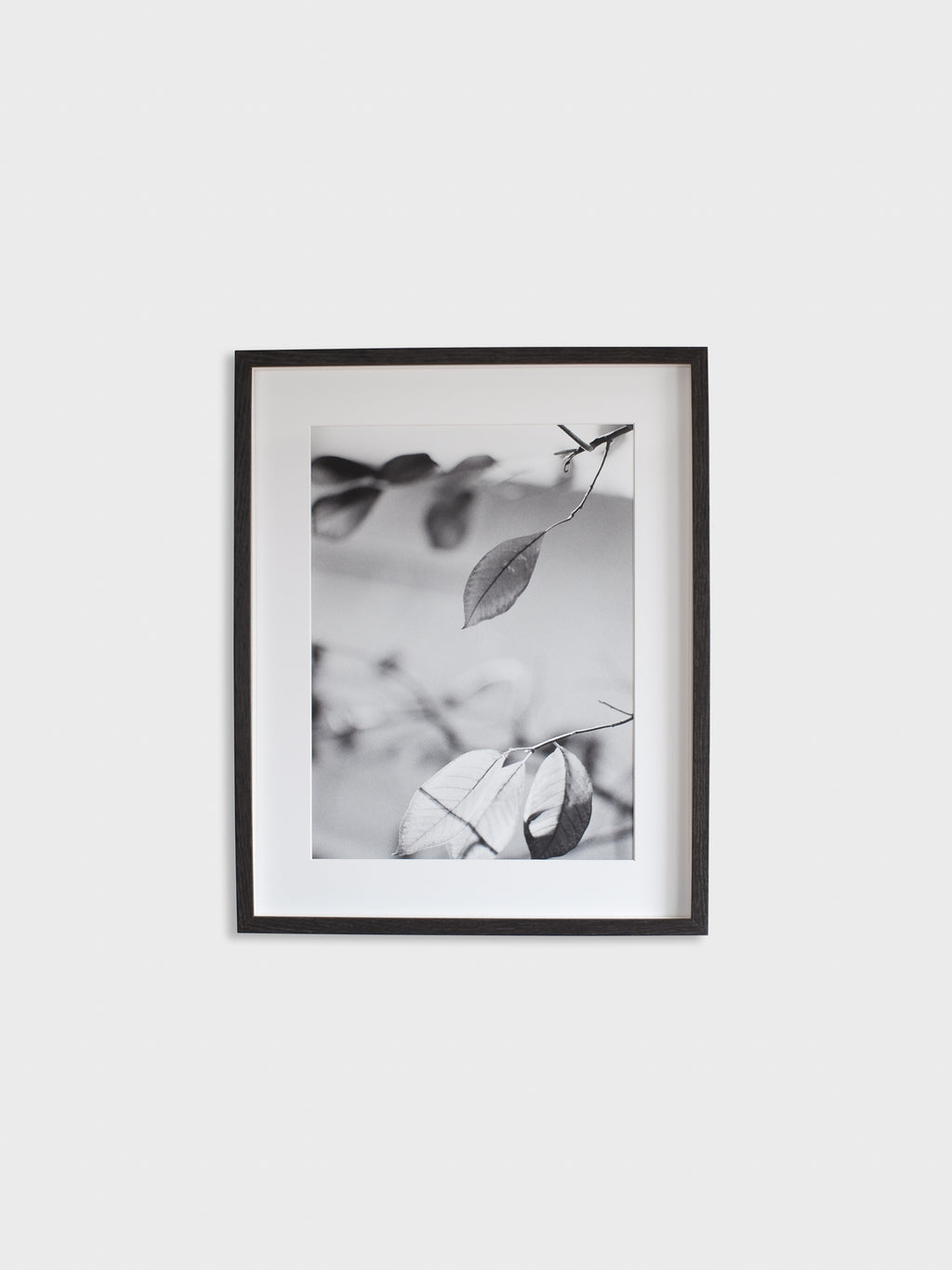 Leaves Poster