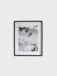Leaves Poster